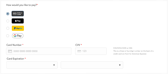 Secure payment control
